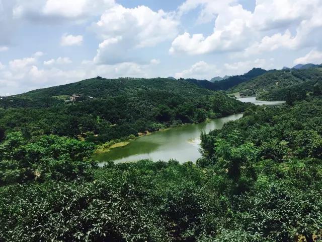 1473755216585917.jpg 2.jpg