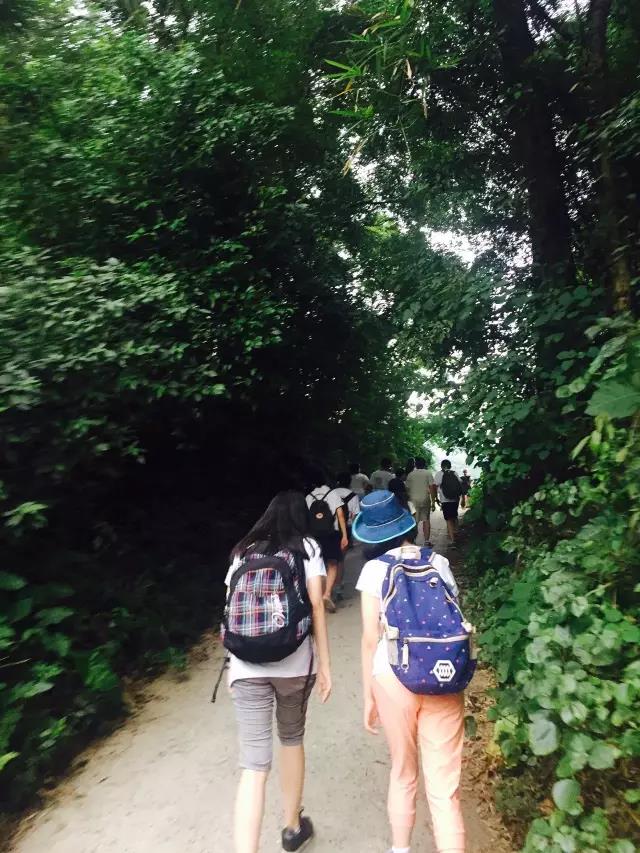 1473755951186763.jpg 15.jpg