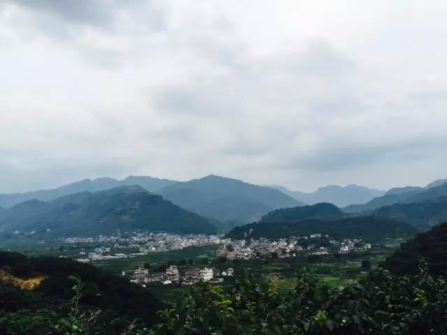 1473756025344530.jpg 17.jpg