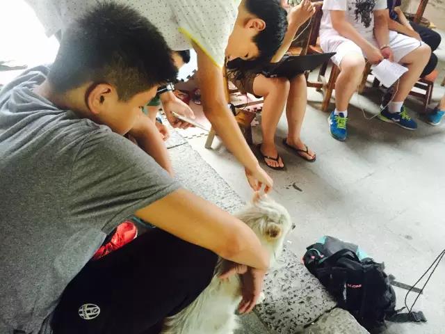 1473756181139800.jpg 1.jpg