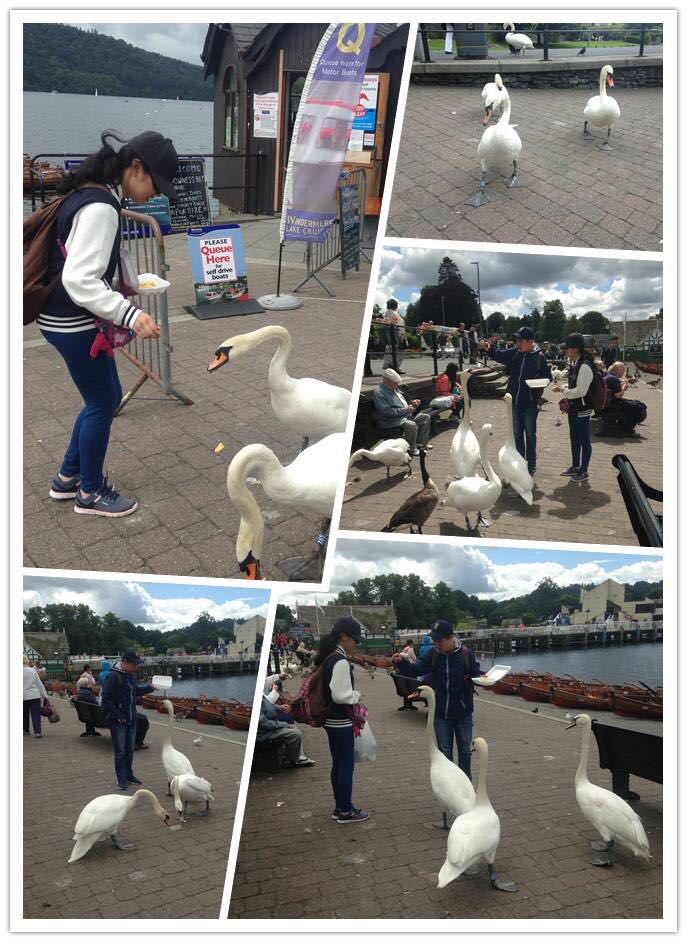 1473818530662005.jpg 2.jpg