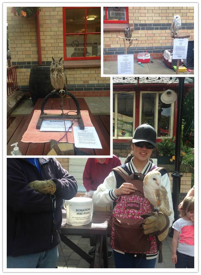 1473818665218477.jpg 7.jpg