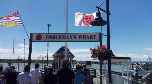 1473827689805086.jpg 13.jpg