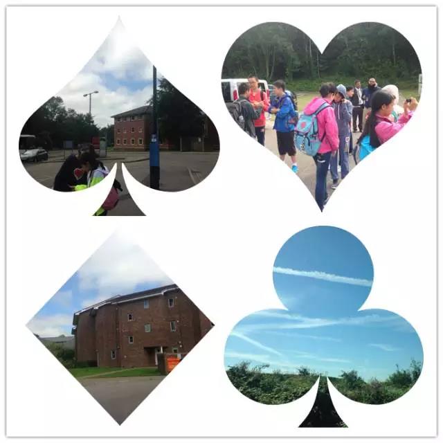 1473828729145070.jpg 3.jpg