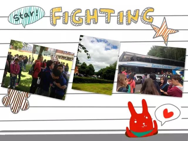 1473829132496373.jpg 8.jpg