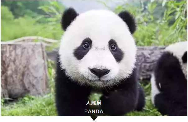 1522746350838017.png blob.png