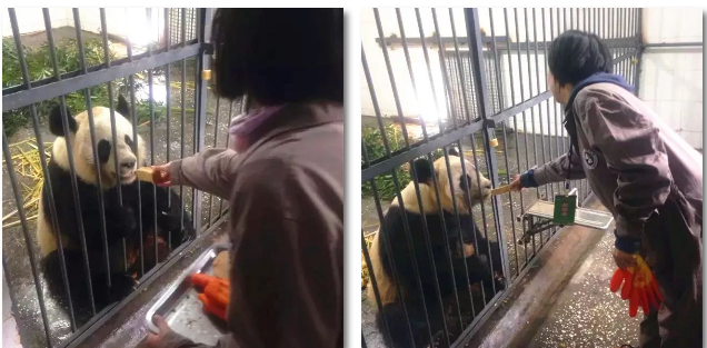 1522746367644962.png blob.png